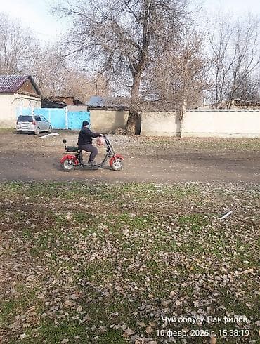 иж планета 2: Электроскутер (городской круизер) с двумя сиденьями и спинкой для — 2