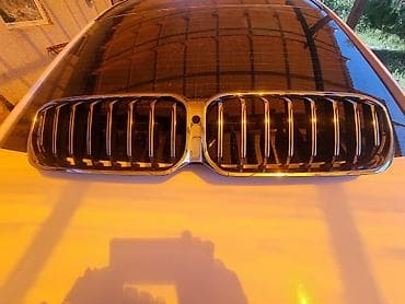 Решётка радиатора (двойная «ноздри») для BMW. - Двухсекционная рамка