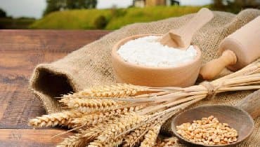 купить бу оборудование для мойки ковров: Мукопросеиватель ATESY Каскад используется на предприятиях — 7