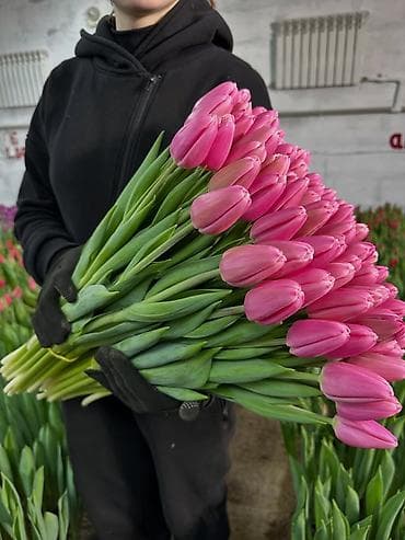 купить кур: Тюльпаны тепличного выращивания — срезка оптом. - Цвета — 10