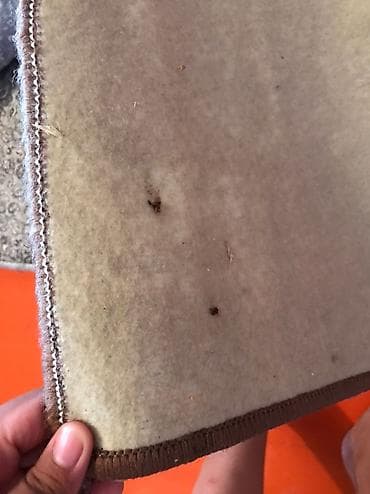 Другие услуги: Дезинфекция, дезинсекция, | Клопы, Блохи, Тараканы, | Транспорт, Офисы, Квартиры — 9