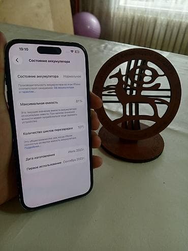 IPhone 15, 128 ГБ, Black Titanium, Зарядное устройство, Защитное стекло, Чехол, 81 % — 3