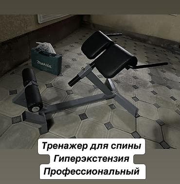 Силовой тренажер, Гиперэкстензия, Для спины, Новый, Самовывоз, Платная доставка