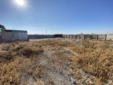 село раздольное кыргызстан: Сдаю в аренду базу в селе Раздольное для МРС и КРС(бычки 100 голов) — 7