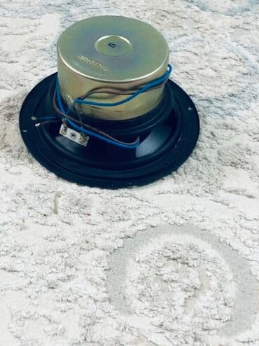 чехол на айрподс: Динамик-головка (саб/мидбас) - Тип: динамик НЧ/СЧ в круглой корзине - — 2