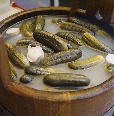 Огурцы Оптом