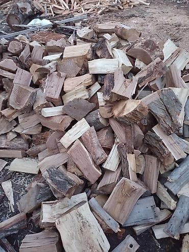 биогумус талас: Дрова Платная доставка — 5