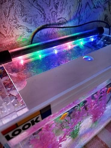 черепаха купить зоомагазин: Аквариум сатылат 15литр балык 6шт🐠 комплект светильник фильтр менен 🪸 — 2