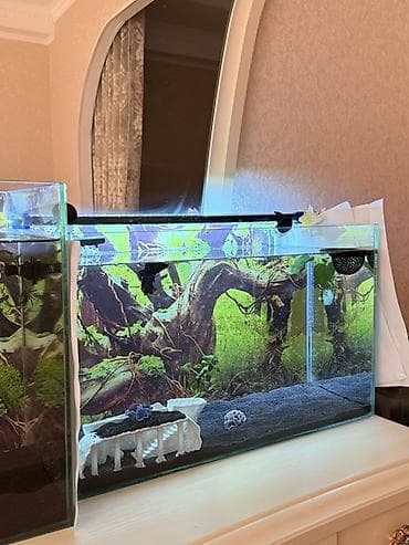 Аквариумы: Продам два аквариума в идеальном состоянии! 🐠 Продаю в связи с — 6