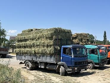 jak авто: Грузовик, Mercedes-Benz, Стандарт, 7 т, Б/у — 2