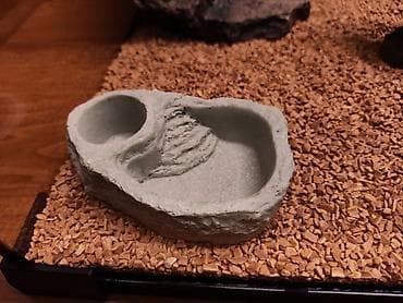 террариум: Террариум для гекконов, сцинков и других ящериц, полностью — 6