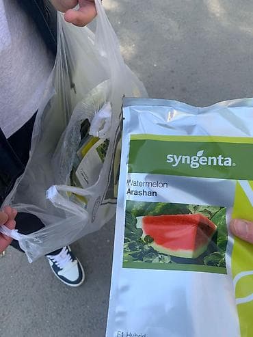 уголь каракече бешсары шабыркуль каражыра доставка бишкек купить фото: Семена арбуза Syngenta Arashan F1 (гибрид) - Производитель: Syngenta — 1