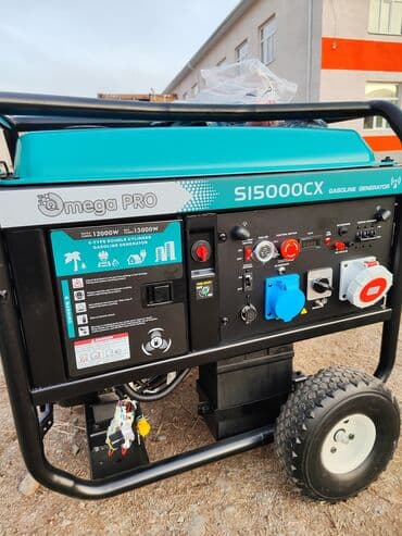 газовое оборудование 4 поколения: Генератор бензиновый 12 квт ЧЕХИЯ с автоматикой двух цилиндровый — 1