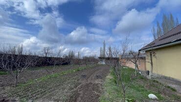 дом 2 этажа: Хотите жить в условиях чистой природы и зарабатывать на этом? — 27
