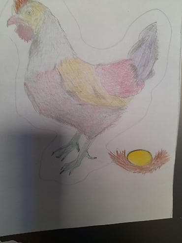 paper: Все картины нарисованы мною: на холсте,картоне,бумаге; — 8