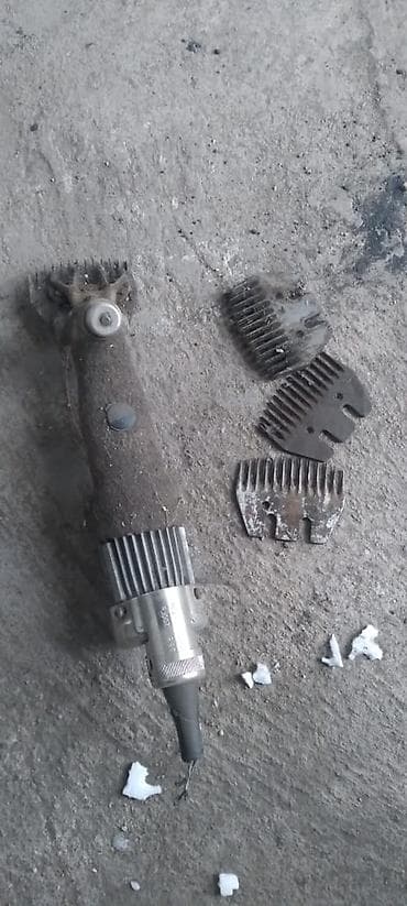 куры живые: Электрическая овечья машинка для стрижки с блоком питания — 4