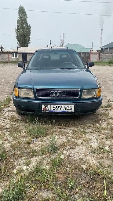 Audi: Audi 100: 1993 г., 0.2 - engine capacity л, Кол менен иштөөчү, Бензин, Седан — 8