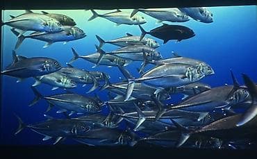 Телевизоры: Проектор продаю Проектор Epson EB-W28 - Яркий 3LCD‑проектор для дома — 4