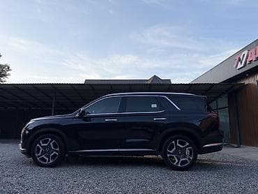 радиато: Hyundai Palisade: 2022 г., 3.8 л, Автомат, Бензин, Кроссовер — 6