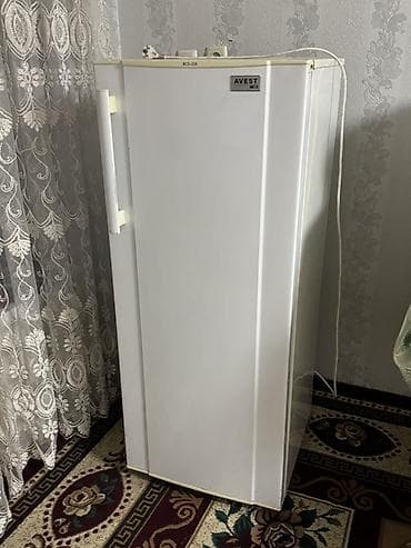 холодильники для авто: Холодильник Avest, Однокамерный — 1