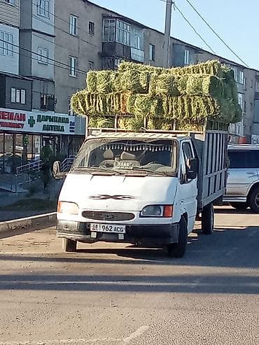Продаётся 2укос чистый клевер.2орум таза беде сатылат доставка сеть at lalafo.kg Продаётся 2укос чистый клевер.2орум таза беде сатылат доставка сеть