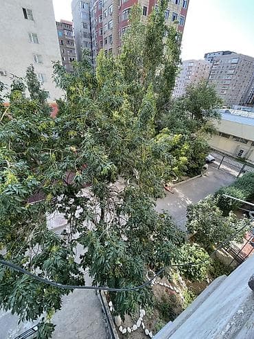 купит квартиры: 1 комната, 35 м², 105 серия, Джал мкр (в т.ч. Верхний, Нижний, Средний) 105 серия, 3 этаж, Требуется ремонт — 7