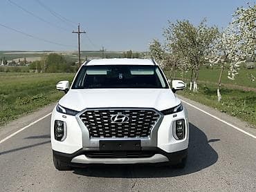 Hyundai Palisade: 2020 г., 2.2 л, Автомат, Дизель, Кроссовер