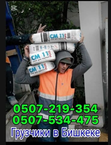 работа фитнес тренер: Грузчик. 3-5 лет опыта — 1