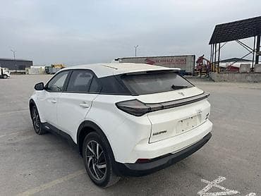 с зеркалом: BYD : 2022 г., 0.1 л, Автомат, Электромобиль, Кроссовер — 5