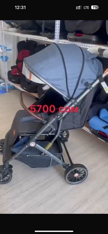 прогулочные коляски для зимы: Коляска, цвет - Черный — 4