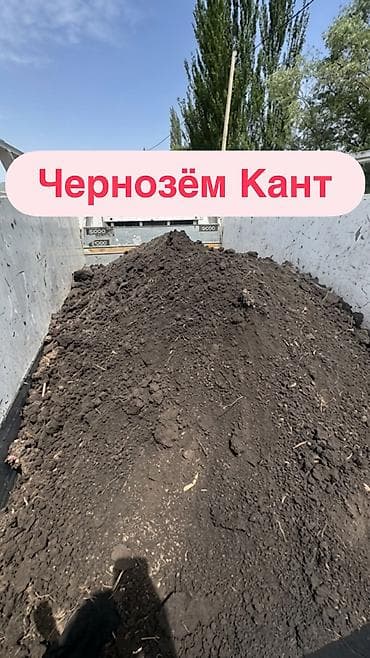 Чернозём (плодородная земля) навалом - Структура: рассыпчатая