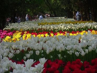 nikon d4: 2) Nikon Coolpix (серия компактных премиум, с «магниевым корпусом» и — 9