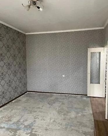 24: 1 комната, Риэлтор — 6