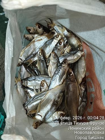 Бал: Натуральная вяленая вобла с Балхаша — 1