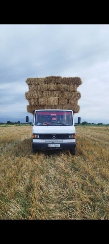 срочно продаю в связи с переездом: Мерс гигант 814 1990 объём 4 турбированный мотор зелёный цвет белый — 3