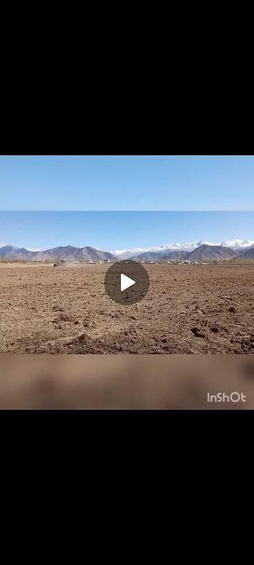 кок жар ж м: 25 соток, Айыл чарба үчүн, Кызыл китеп — 3