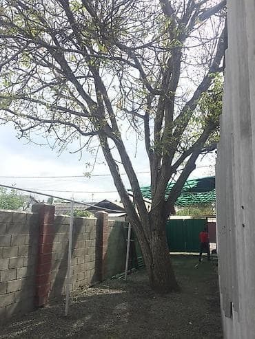 работа вентиляция: Снос аварийных деревьев Распил Укорачивание веток И т.д Убираем — 2