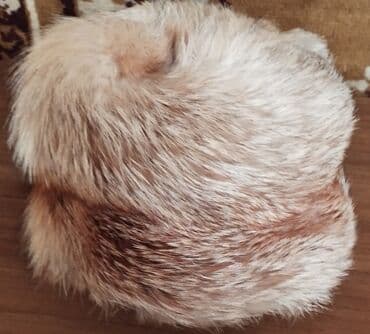 детские шапки с помпонами из натурального меха: Продаю шубу и шапку Лисий мех Размер шуба-50, шапка-54 см Состояние — 7