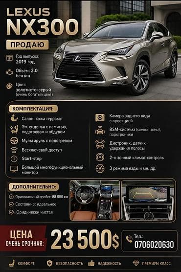 Lexus NX: 2019 г., 2 л, Бензин