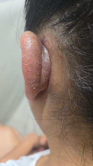 талас квартира керек: 3 бөлмө, Менчик ээси, Эмерексиз — 4