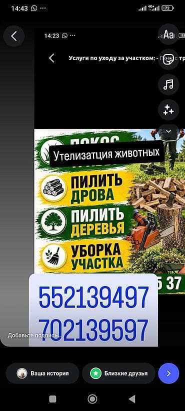 усыпление собаки: Услуги по уходу за участком: - Покос травы триммером - Распил и колка — 1