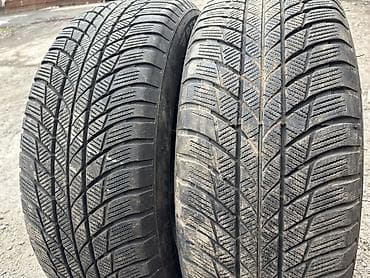 Шины 225 / 60 / R 18, Всесезонная, Б/у, Пара, Польша, Bridgestone