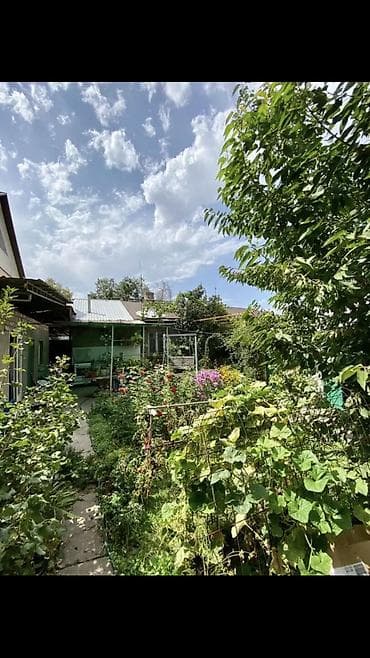 хата политех: 100 м², 3 комнаты, Утепленный, Теплый пол, Бронированные двери — 4