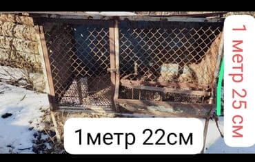 продам домик для кошки: Кролятник — 1