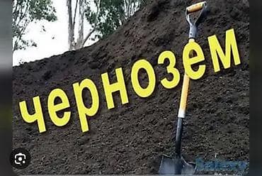 выращивание: Чернозём — плодородная почва для огородов, теплиц, газонов и клумб. - — 1