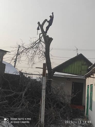 кресло барбер: Профессионально оперативно быстро спил любой сложности. Без выходных — 4