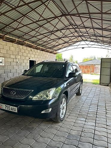 Lexus RX: 2003 г., 3 л, Автомат, Бензин, Кроссовер — 8