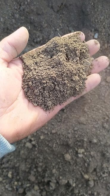 рассрочка мега: В тоннах, Бесплатная доставка, Зил, Камаз — 1