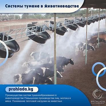 летники: 🌟 Системы туманообразования в животноводстве 🌟 🔥 Летние жаркие дни — 1