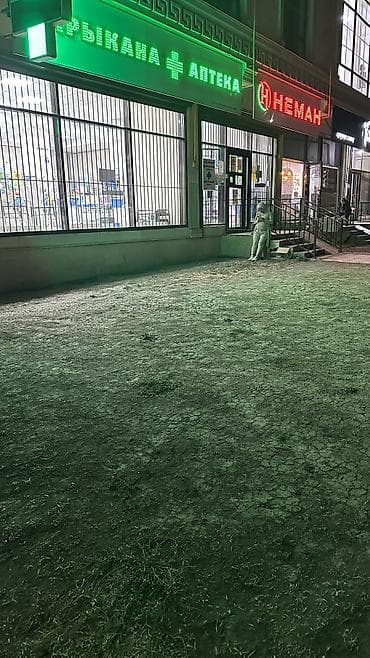 Недвижимость: Сдается в аренду коммерческое помещение на первом этаже фасадного — 7